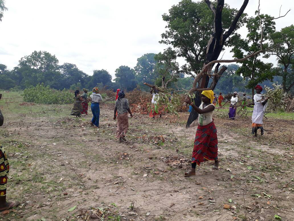 Förderkreis Zukunft für Afrika