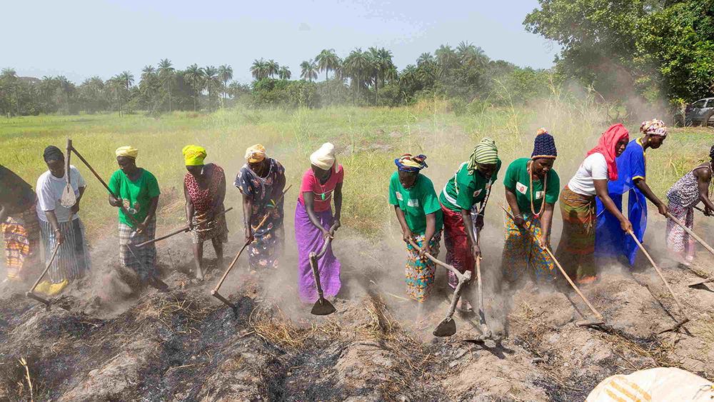 Förderkreis Zukunft für Afrika