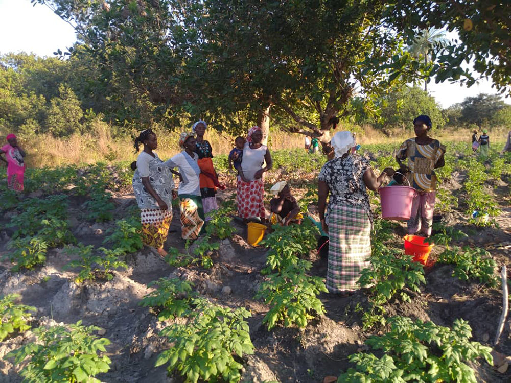 Förderkreis Zukunft für Afrika