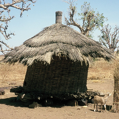 Impressionen vom Senegal