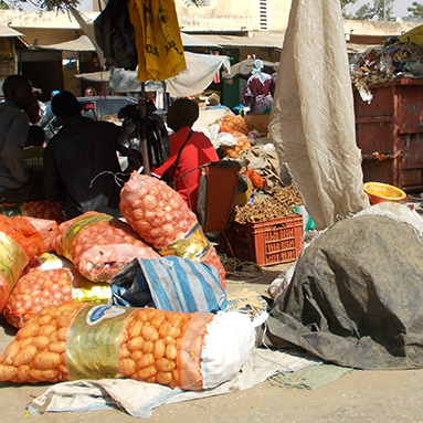 Impressionen vom Senegal