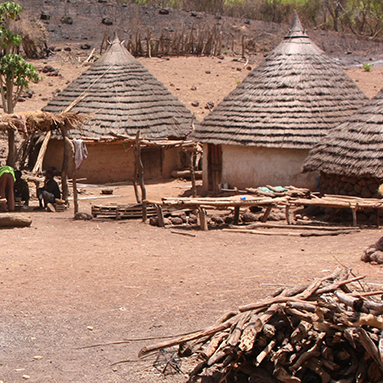 Impressionen vom Senegal