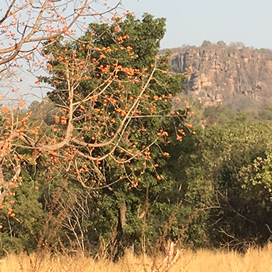 Impressionen vom Senegal