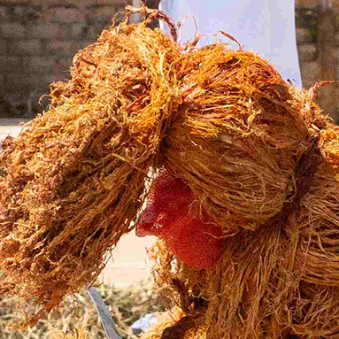 Impressionen vom Senegal